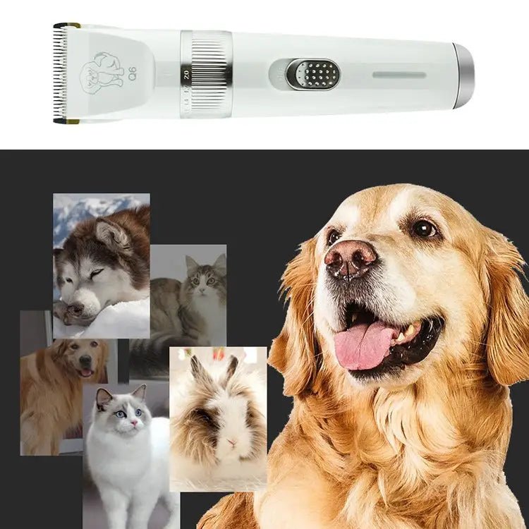 Q6 USB Charging Electric Pet Shaver with Four Combs - wevelnit