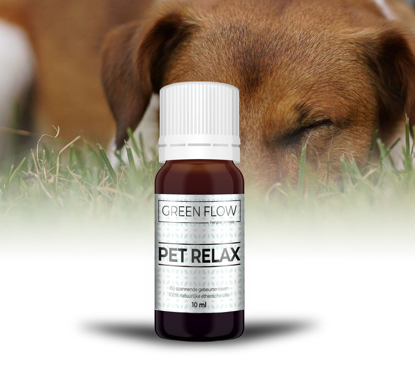 Pet Relax - Ontspanning voor jou én je trouwe viervoeter - wevelnit