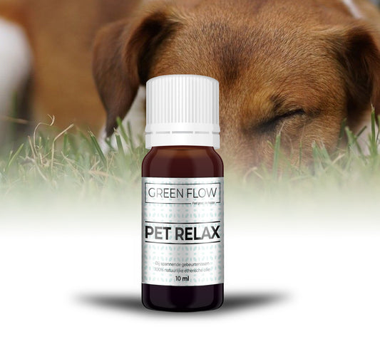Pet Relax - Ontspanning voor jou én je trouwe viervoeter - wevelnit