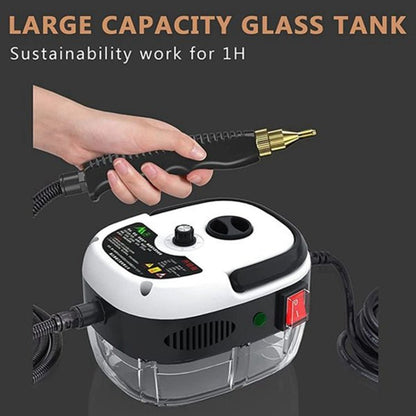 2500W High Temperature And High Pressure Steam Cleaning Machine for household usage - wevelnit