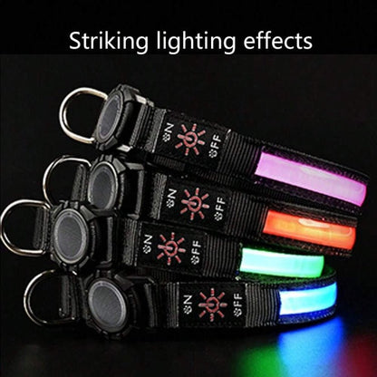 LED Waterproof Dog Collar with AirTag Holder – Quick Release (S / M / L) - wevelnit