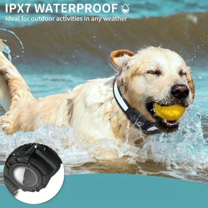 LED Waterproof Dog Collar with AirTag Holder – Quick Release (S / M / L) - wevelnit