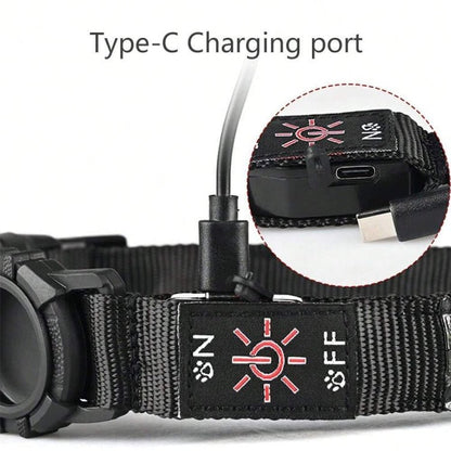 LED Waterproof Dog Collar with AirTag Holder – Quick Release (S / M / L) - wevelnit