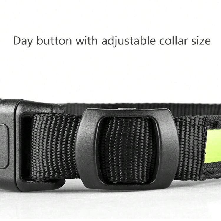 LED Waterproof Dog Collar with AirTag Holder – Quick Release (S / M / L) - wevelnit