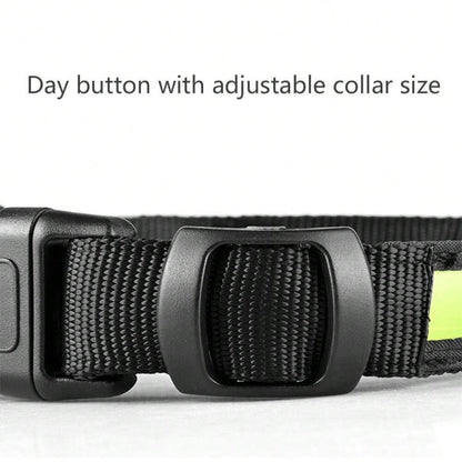 LED Waterproof Dog Collar with AirTag Holder – Quick Release (S / M / L) - wevelnit