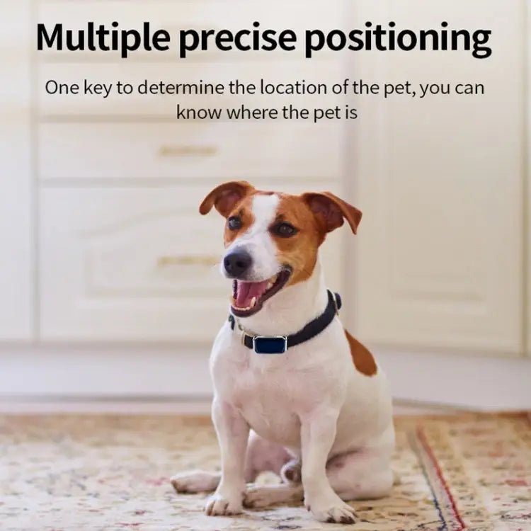 G06 IP67 Waterproof Pet GPS Tracker Dog Locator, G12 - wevelnit