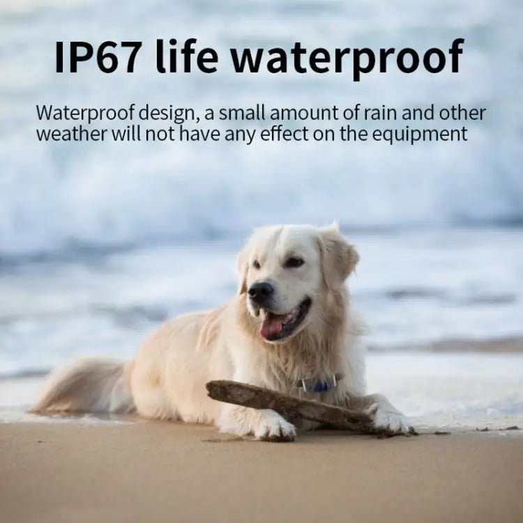 G06 IP67 Waterproof Pet GPS Tracker Dog Locator, G12 - wevelnit