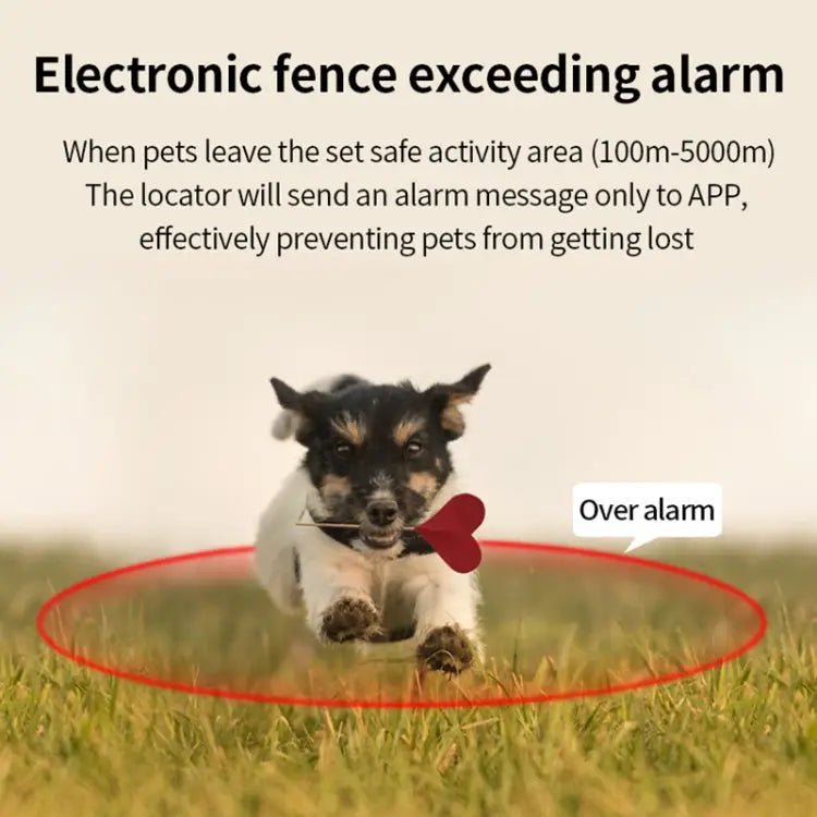 G06 IP67 Waterproof Pet GPS Tracker Dog Locator, G12 - wevelnit