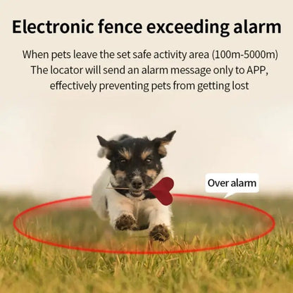 G06 IP67 Waterproof Pet GPS Tracker Dog Locator, G12 - wevelnit