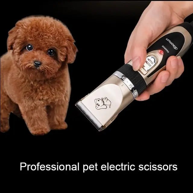 Ceramics Titanium Professional Pet Electric Scissors Hair Clippers with Four Combs - wevelnit