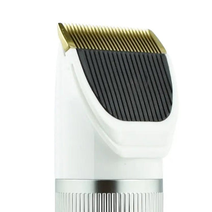 Q6 USB Charging Electric Pet Shaver with Four Combs - wevelnit